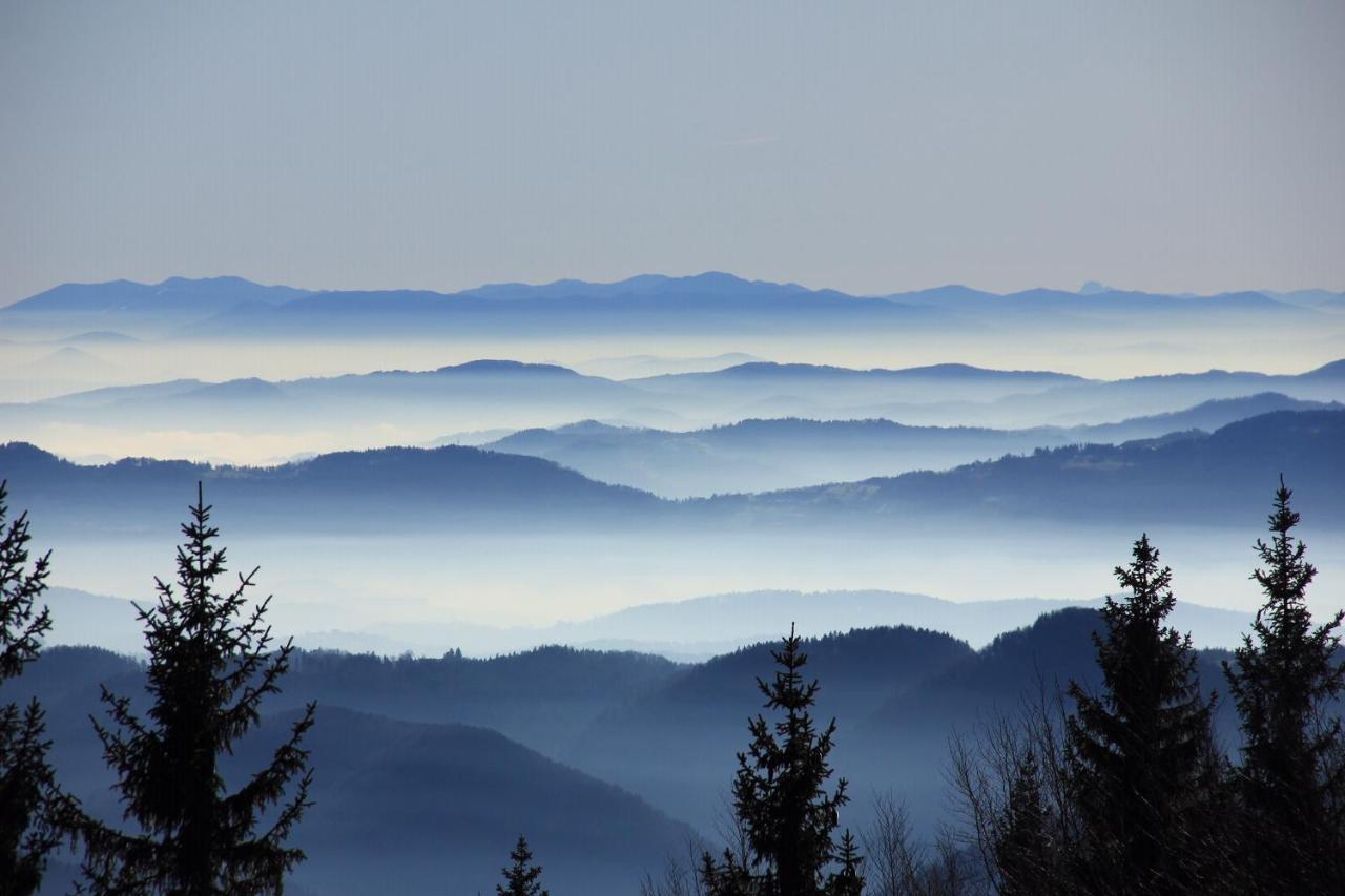 Velika Planina Chalet Slovenka Stahovica Exteriör bild