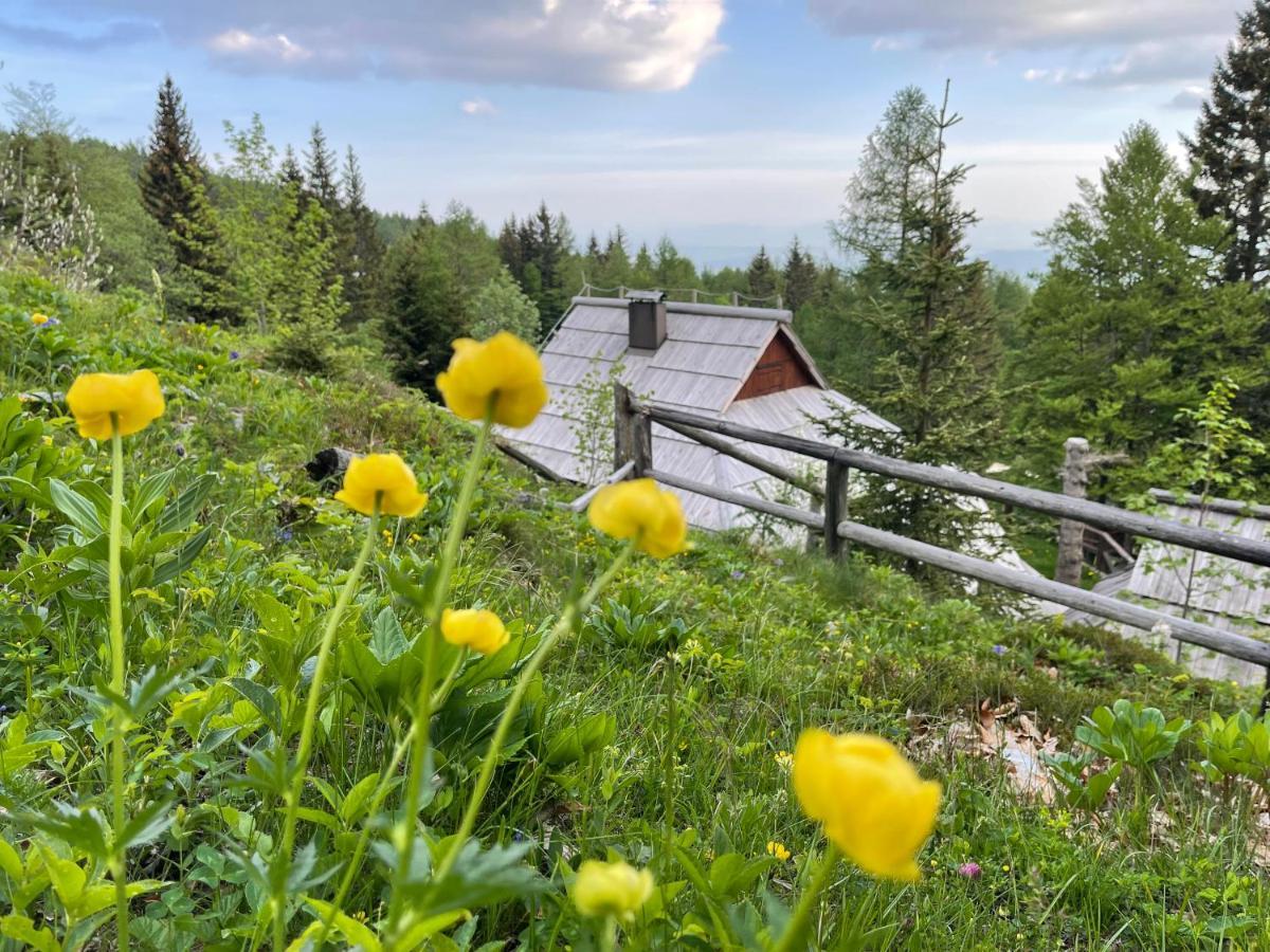 Velika Planina Chalet Slovenka Stahovica Exteriör bild